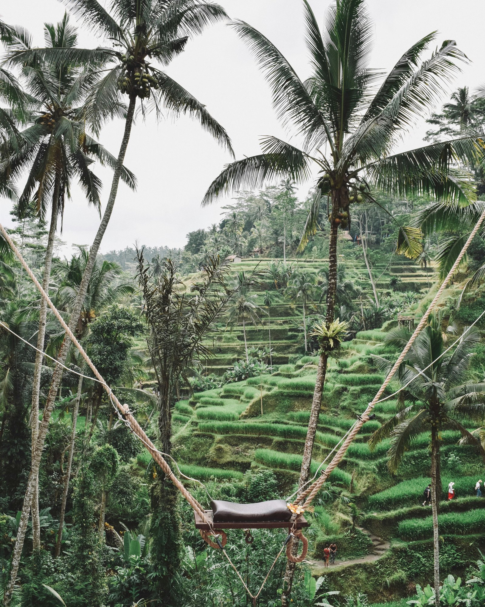 Ubud Swing